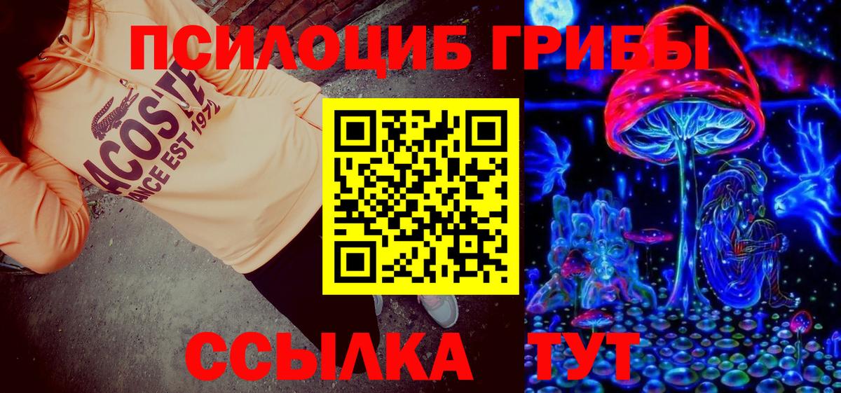 Галлюциногенные грибы Psilocybine cubensis  Вход с VPN  Нижнеудинск 